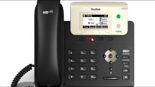 T21P E2 IP Phone  Multiple Calls [upl. by Haletta]