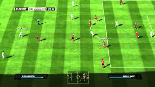 FIFA 11 Woodwork Warrior 2 [upl. by Annis]