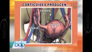 PROCREAR ¿La artritis afecta la fertilidad [upl. by Assela]