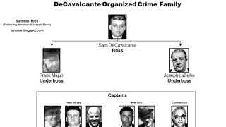 DeCavalcante Crime Family Suspected Member organizedcrime mafia newjersey [upl. by Bautram]