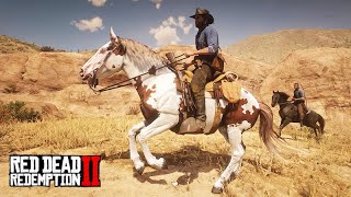 VAMOS DOMAR CAVALOS APPALOOSA  Red Dead Redemption 2 [upl. by Eizus]