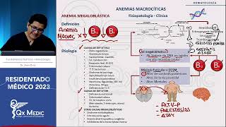 Hematología  3 Anemias Macrocíticas [upl. by Maryjane36]