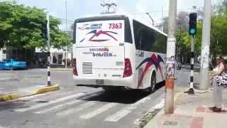 Marcopolo Ideale 770 Gaviota Preferencial Buses Colombianos [upl. by Sally442]