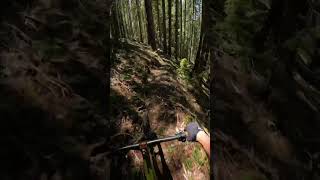 One of the most fun and raw trails I’ve ever ridden Cant wait to go back shoes mtb bike [upl. by Areht608]