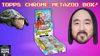 Topps Chrome MetaZoo Series 0 Hobby Box So Much Fun [upl. by Mcafee547]