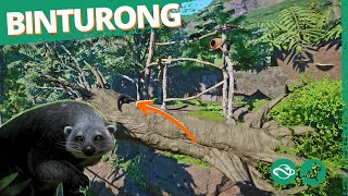 Binturong Habitat with Huge Fallen Tree  Planet Zoo [upl. by Aratahs]