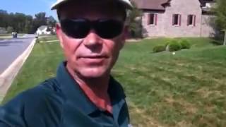 GrowinGreen Lawn Care  Pythium disease root rot [upl. by Airdnua]