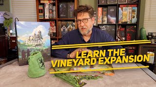 Vineyard Expansion  How To Play and Review for Castles of Burgundy [upl. by Esmerelda]