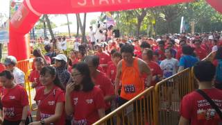 Meiji Run 2017 10 KM start off [upl. by Nicola294]