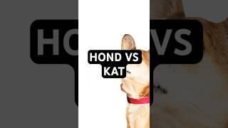 Honden 🐕 vs Katten 🐈 [upl. by Reger]