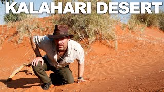 Survivorman  The Kalahari Desert  Namibia  Season 2  Episode 1  Les Stroud [upl. by Levesque]