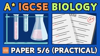 IGCSE Biology  How to get an A in papers 5 and 6 practicalalternative to practical [upl. by Ramonda]