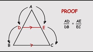 Proof of Proportionality Theorem [upl. by Wiskind]