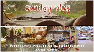 Sunday vlog of a working woman D Mart Shopping haul [upl. by Lrad956]