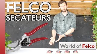 Which FELCO Secateurs should I buy Most Popular Models 2 6 7 amp 8 [upl. by Kerekes]