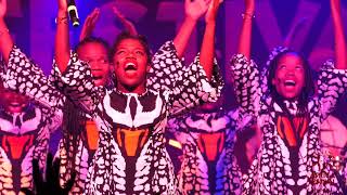 Ndlovu Youth Choir in Concert  Africa Festival Würzburg 2019 [upl. by Magbie386]