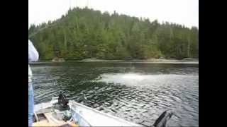 Alaskan Adventure Salmon Fishing Thorne Bay [upl. by Edan]