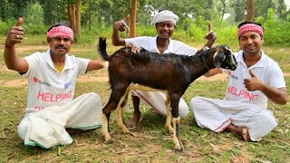 Mutton Curry Recipe  Mutton curry recipe cooking for village poor people  Helping kitchen [upl. by Ettennor]