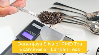 Dananjaya Silva of PMD Tea Examines Sri Lankan Teas  Tea History Collection [upl. by Acinnad]