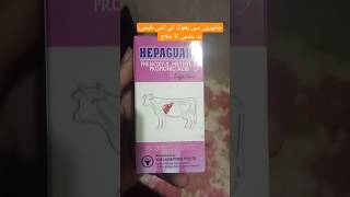 Liver tonichepatic failureindigestion constipationtympany treatment vet veterinary cow [upl. by Wendall]