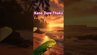 Keno Dure Thako Cover  Hemanta Mukherjee viralshorts viralmusic youtubeshorts [upl. by Nivej655]