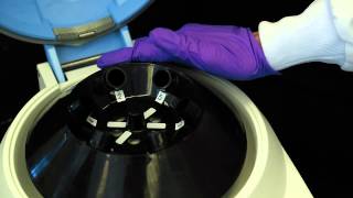 How to Use a Centrifuge [upl. by Jeramie]