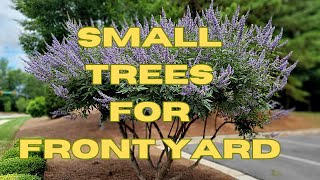 10 BEST All Season Small Trees For Front Yard  Low Maintenance Dwarf Trees for Landscaping [upl. by Mauldon]