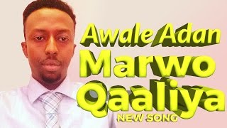 AWALE ADAN MARWO QAALIYA OFFICIAL AUDIO 2016 HD [upl. by Issi]