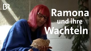 Wachtelparadies Ebnath Ramonas glückliche Wachteln  Zwischen Spessart und Karwendel  BR [upl. by Earle339]