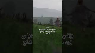 يا باقة ورد انتي محمد عبد الجبار [upl. by Zumstein496]