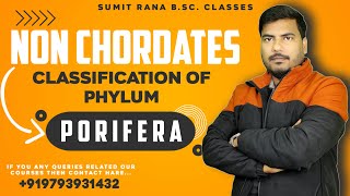 Classification Of Porifera  Non Chordates  Sumit Rana Sir [upl. by Ripleigh]