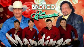 GRUPO MANDINGO Y BRONCO Y LOS CAMINANTES EXITOS  SUS MEJORES CANCIONES  MIX ROMANTICAS 2021 [upl. by Eylloh]