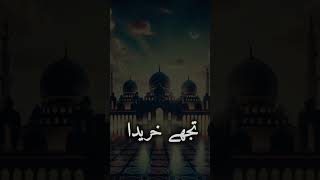 Ghulam Mustafa Qadri New Kalam Dar e Nabi Par  shortvideo [upl. by Machos]