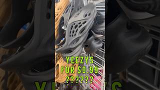 Found Yeezy Foam Runners for under 10 bucks  yeezys [upl. by Grenier119]