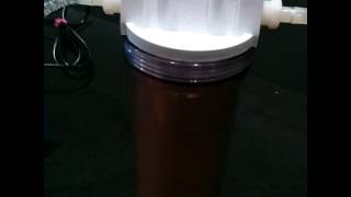 Filtering Milk Punch [upl. by Bein]