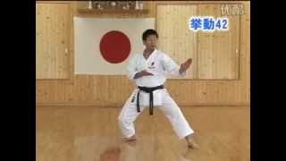 Bassai Dai JKA Shotokan Karate KarateZine [upl. by Nagel300]