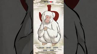 Japanese Zodiac  Saru the Monkey 申  十二支 zodiac [upl. by Grimbly]