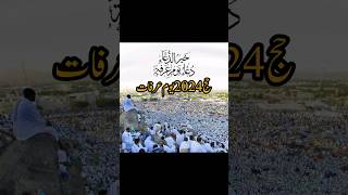 Hajj 2024  Hajj Short  Arafat 2024 hajj arfatulislam shortsviralshort hajjshorts [upl. by Minnaminnie]