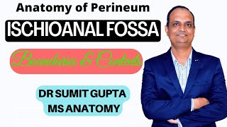 ISCHIOANAL FOSSA  Anatomy [upl. by Pedersen]