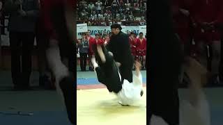 Steven Seagal Demonstration Aikido [upl. by Hound322]