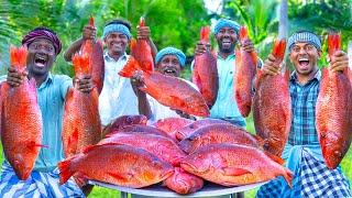 RED SNAPPER FISH  Big Fish Grill Recipe Cooking in Village  Fish Fry in Clay  Ancient Cooking [upl. by Cardie541]