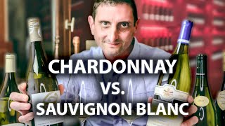 Chardonnay vs Sauvignon Blanc Whats the Difference [upl. by Ahsekam]