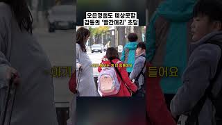 임산부의 배를 처음 만져본 초등학생들 [upl. by Sirah]