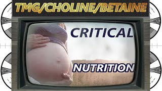 Choline deficiency and IQ decline in western civilization [upl. by Podvin]