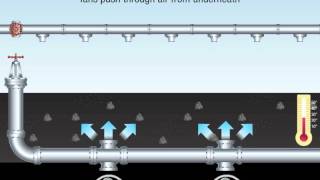 Bioheap Leaching Process [upl. by Nylekoorb]