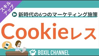 【Cookieレスとは？】規制の背景や影響・新時代のマーケティング施策6選 [upl. by Earl]