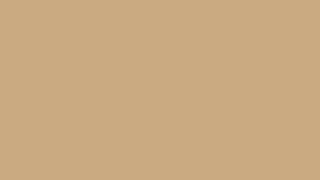 Light French Beige Screen Color 10 Hours [upl. by Nowaj]