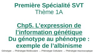 Albinisme  1ere Spécialité SVT  Du génotype au phénotype exemple de lalbinisme [upl. by Hebe]