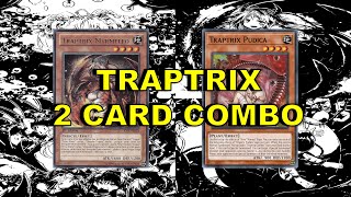 TRAPTRIX 2 CARD COMBO Myrmeleo  Pudica [upl. by Audre]