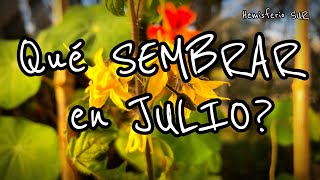 Qué sembrar en JULIO ❄🌱Calendario de Siembra 2024 Mujer Bonita 128 [upl. by Amorete]